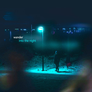 Rivers In the Forest