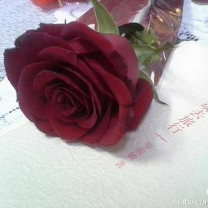 在我生命中的每一天