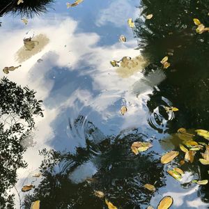 怪我没能抱紧你