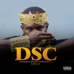 DSC (Dangereux spots du confinement)