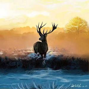 我不需要你做我的正义使者