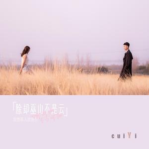 除却巫山不是云