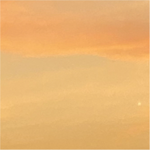 想起想不起的事