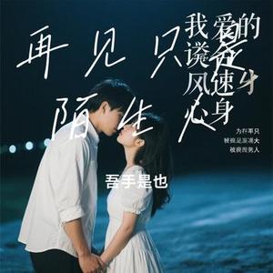 再见只是陌生人  (Remix)