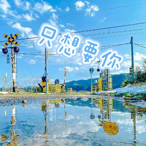 只要有你