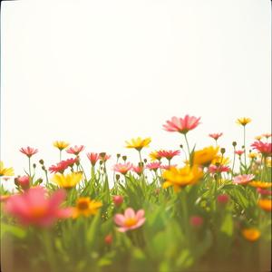 तिम्रो सम्झना ले सताइ रहेछ by @orangemusicologist6136