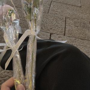 经济舱（片段）