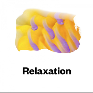 Return to Good Karma (Edit)