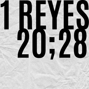 1 REYES 20;28