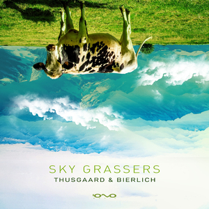 Sky Grassers (Original Mix)