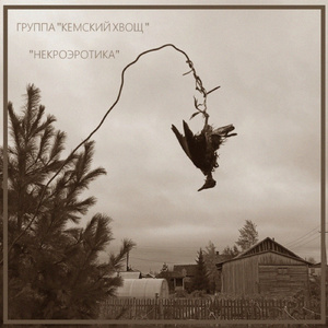 Патамушта дощь