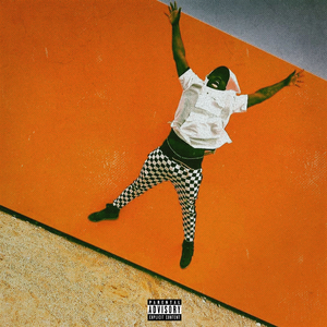 You Ever Dream of Flying ?