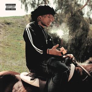 French Tips (feat. SkinnyBoi CJ)