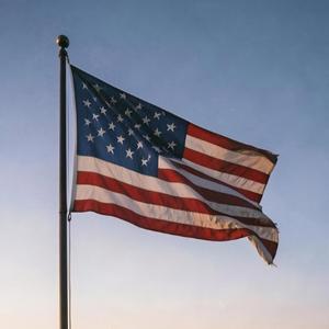 Stand Up (Freedom Calls)