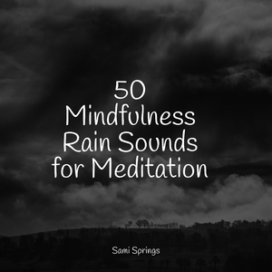 Forest Sounds (Birds)