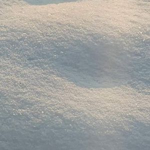 愚（PROD.BY.Morrow）