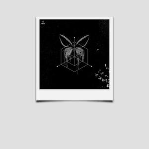 DANGER ZONE (feat. Diutalon) (slowed + reverb)