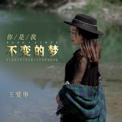 你是我不变的梦 (伴奏)(DJ默涵版)