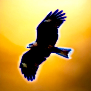 この世界が終わるその時まで