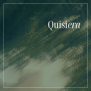 Quisiera