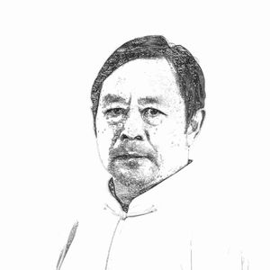 如果没有保国