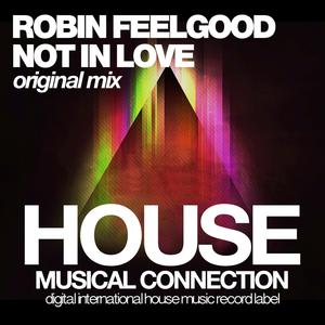 Not in Love (Original Mix)