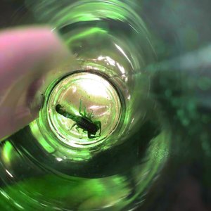 Spit Fire!!! (Freestyle)