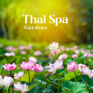 Relaxation Meditation