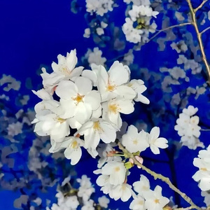 遇上你之前的我