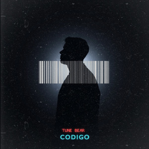 Codigo