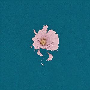 吉吉如律令（云北版）