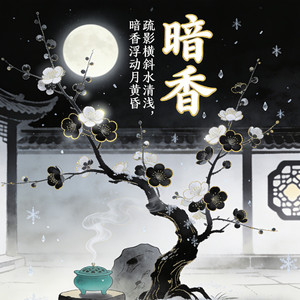 暗香（梦里啥都有DY remix）