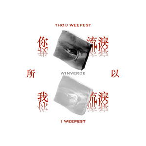 你流泪所以我流泪remix by winverde