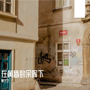 在黄昏的余晖下