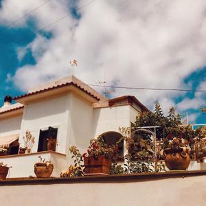 The Sun Shines on the Street