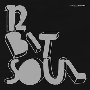 12-Bit Soul