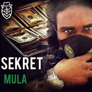Mula (feat. MMVSeKreT) (Original Version)