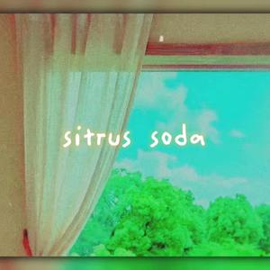 citrus soda