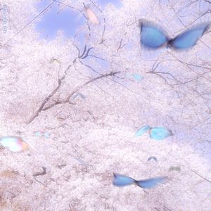 致我的思春期（翻自：脸红的思春期）