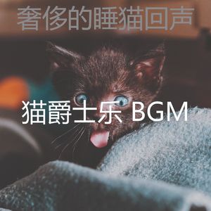 微妙的猫心情