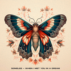 When I Met You in a Dream