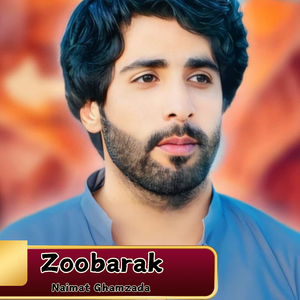 Zindati Insaan Na