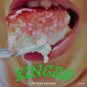 XINGAR