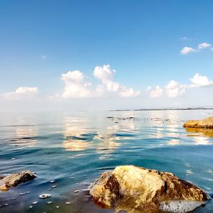 天荒地老永不分离