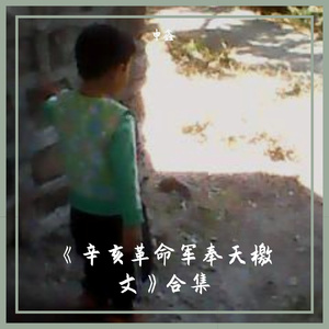 Ⅰ《辛亥革命军奉天檄文》壹