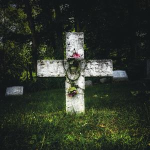 Bacon Lettuce Meat Man