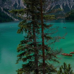 Reflexiones místicas