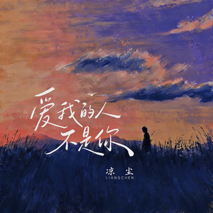 爱我的人不是你