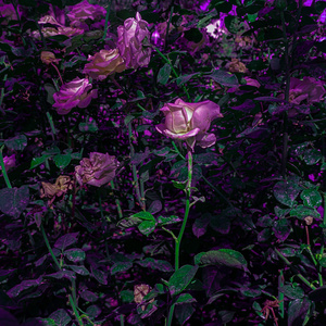 SEVGİLİM (Sped Up)