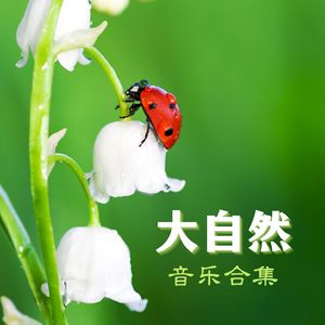 印第安人纯音乐